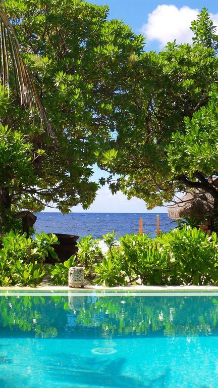 Green Lodge Moorea Temae Luaran gambar